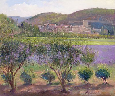 Lavender Seen Through Quince Trees, Monclus by Timothy Easton